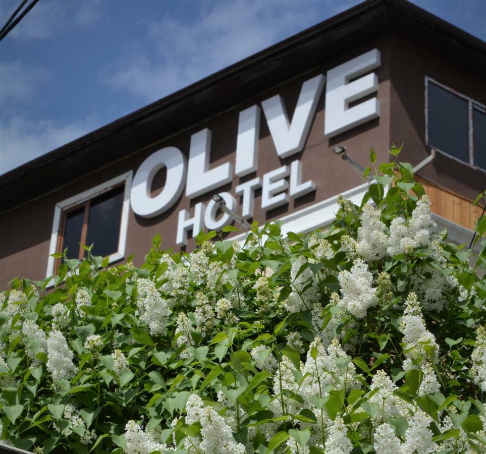 Olive Hotel ビシュケク エクステリア 写真